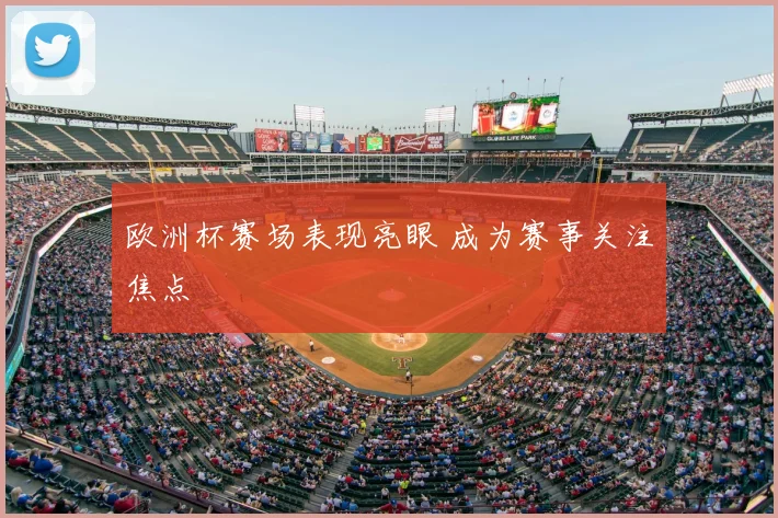 欧洲杯赛场表现亮眼 成为赛事关注焦点