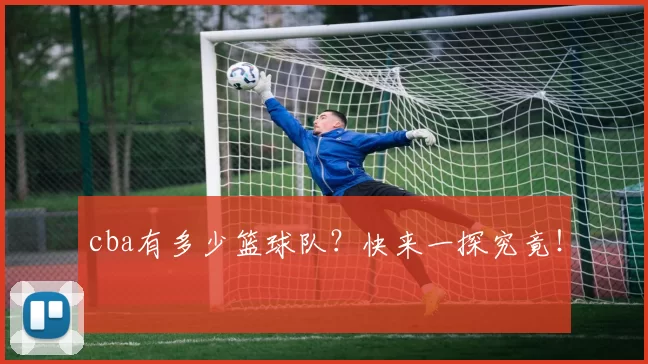cba有多少篮球队?快来一探究竟!