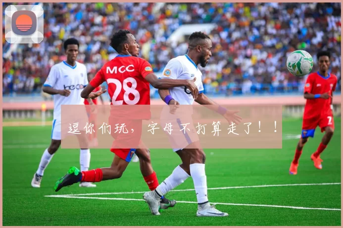 逗你们玩,字母不打算走了!!