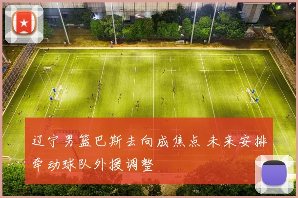 辽宁男篮巴斯去向成焦点 未来安排牵动球队外援调整