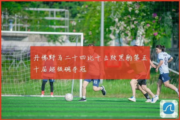 丹佛野马二十四比十击败黑豹第五十届超级碗夺冠